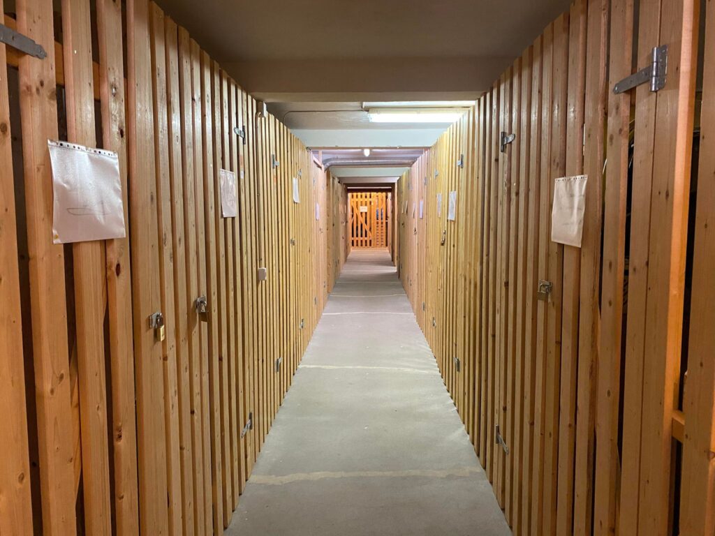 301099770 377731284517058 1754078165868646625 n 1024x768